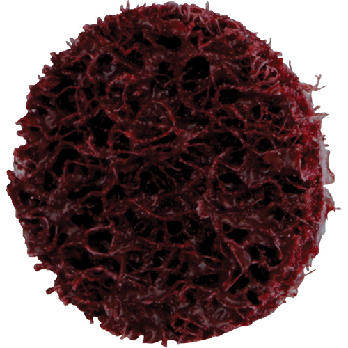 Standard Abrasives Quick-Change Surface Conditioning Disc, 3/4" Dia., Medium Grit, Aluminum Oxide Nia-Chem Ltd.