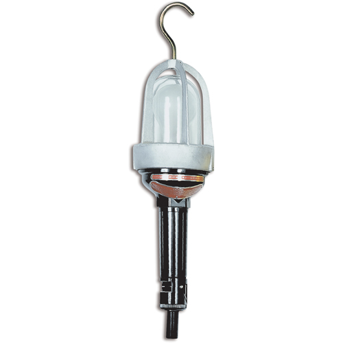 Hazardous Location Handlamp, LED, 20 W, 2400 Lumens Nia-Chem Ltd.