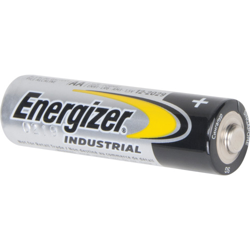 Alkaline Industrial Batteries, AA, 1.5 V Nia-Chem Ltd.