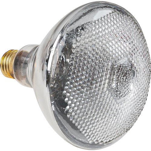 Economy Line Incandescent Lamps Nia-Chem Ltd.