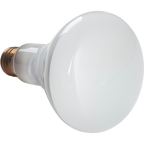 Economy Line Incandescent Lamps Nia-Chem Ltd.
