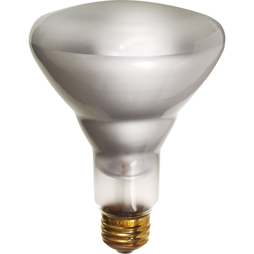 Economy Line Incandescent Lamps Nia-Chem Ltd.