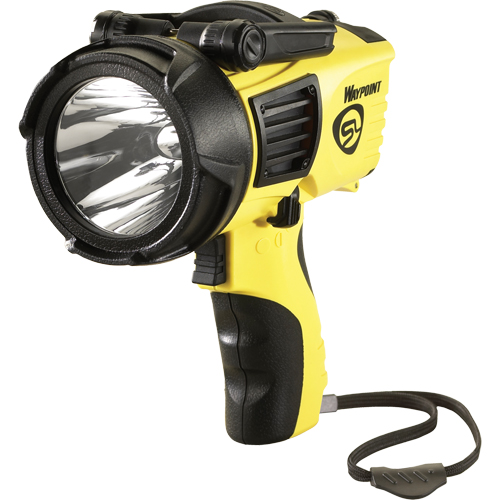 Projecteurs style pistolet Waypoint, DEL, 550 Lumens, Piles C Nia-Chem Ltd.
