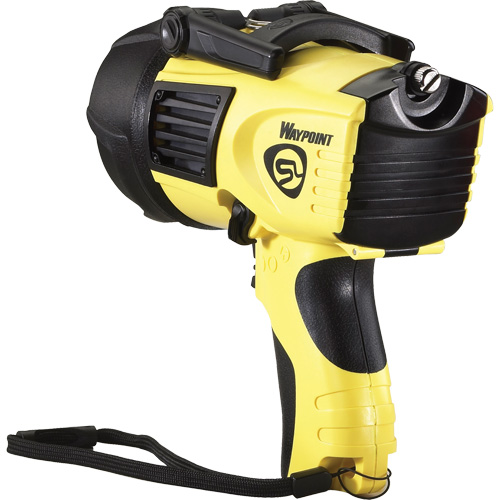 Projecteurs style pistolet Waypoint, DEL, 550 Lumens, Piles C Nia-Chem Ltd.