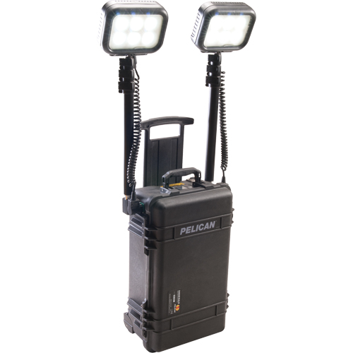 Syst&egrave;mes d'&eacute;clairage pour zones recul&eacute;es 9460, DEL, 12 000 lumens, Boîtier en Plastique Nia-Chem Ltd.