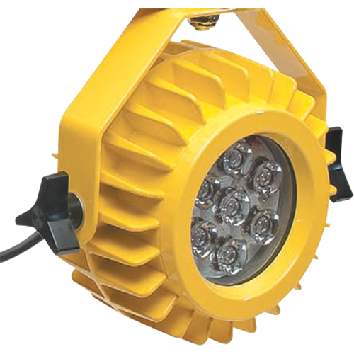 Lampe robuste DEL pour les quais - t&ecirc;te seulement Nia-Chem Ltd.