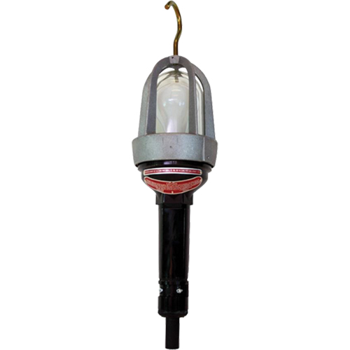Hazardous Location Handlamp, LED, 20 W, 2400 Lumens Nia-Chem Ltd.