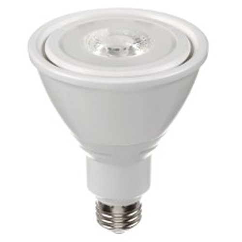 Ampoule DEL, PAR30, 10 W, 800 lumens, base Moyen Nia-Chem Ltd.