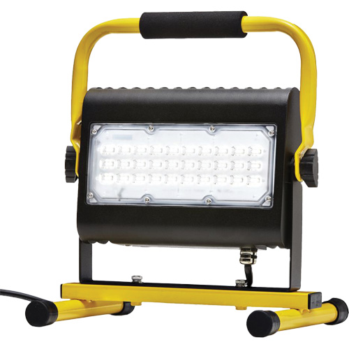 Flood Light, LED, 50 W, 4800 Lumens, Aluminum Housing Nia-Chem Ltd.