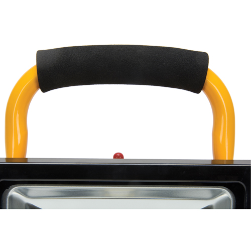Projecteur portatif, DEL, 20 W, 2500 lumens, Boîtier en Aluminium Nia-Chem Ltd.