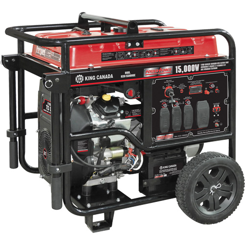 V-Twin Gasoline Generator, 15000 W Surge, 12500 W Rated, 120 V/240 V, 40 L Tank Nia-Chem Ltd.