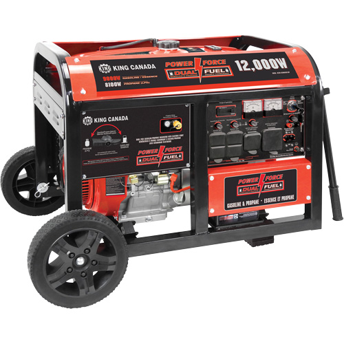 G&eacute;n&eacute;ratrice &agrave; essence/propane &agrave; d&eacute;marreur &eacute;lectrique Nia-Chem Ltd.
