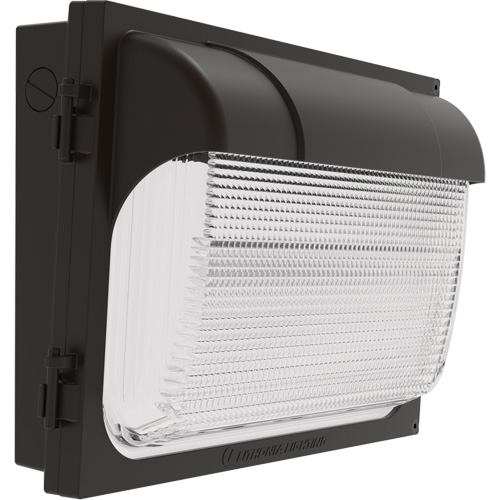 TWX Wall Luminaire, LED, 480 V, 9 W - 54 W, 14" H x 18" W x 5" D Nia-Chem Ltd.
