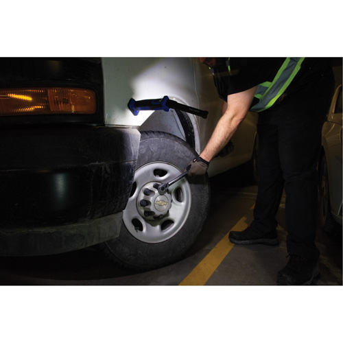 Foldable/Twist Work Light, Magnetic, Rechargeable, 350 Lumens Nia-Chem Ltd.