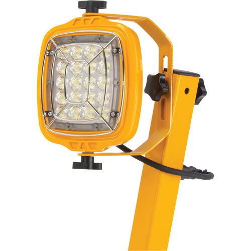 Dock Light, 40" Arm, 50 W, LED Lamp, Metal Nia-Chem Ltd.