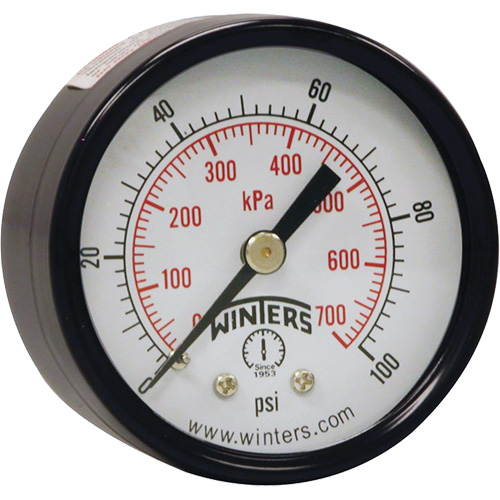 Economy Pressure Gauge, 2" , 0 - 160 psi, Back Mount, Analogue Nia-Chem Ltd.