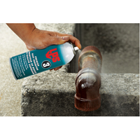 3&reg; Premier Rust Inhibitor, Aerosol Can Nia-Chem Ltd.