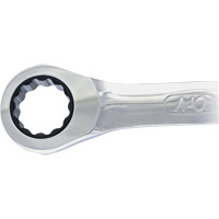 Non-Reversing Ratcheting Combination Wrench Nia-Chem Ltd.