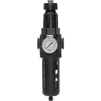 Modulair 400 Filter/Regulator with Manual Drain, 3/4" NPT, 200 psi, 9.1 fl. oz. Capacity Nia-Chem Ltd.