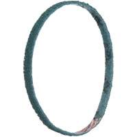 Scotch-Brite Surface Conditioning File Belts Nia-Chem Ltd.