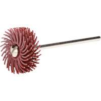 Scotch-Brite Radial Bristle Discs, P220X Grit, 3/4" Dia. Nia-Chem Ltd.