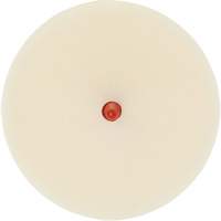 Scotch-Brite Moulding Adhesive & Stripe Removal Disc, 7501, 4" Dia. Nia-Chem Ltd.