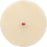 Scotch-Brite Moulding Adhesive and Stripe Removal Disc 7502, 6" Dia. Nia-Chem Ltd.