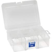 Boîte &agrave; compartiments en plastique, 4,75" la x 6,75" p x 2,25" h, 6 compartiments Nia-Chem Ltd.