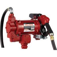 Pompes c. a. utilitaires &agrave; soupape rotative avec embout, 115/230 V, 35 gal./min Nia-Chem Ltd.