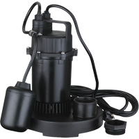 Thermoplastic Submersible Sump Pump, 2560 GPH, 115 V, 4.6 A, 1/3 HP Nia-Chem Ltd.