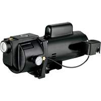 Pompe &agrave; jet en fonte &agrave; double tension pour puit peu profond, 115 V/230 V, 1260 gal./h, 1 CV Nia-Chem Ltd.