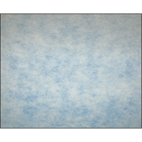 Filtres en m&eacute;dias synth&eacute;tiques &agrave; arrestance &eacute;lev&eacute;e, Tampon, MERV 5, 24" la x 2" p x 12" h Nia-Chem Ltd.