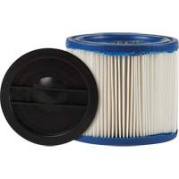 Petit filtre pour aspirateur pour d&eacute;bris secs/humides CleanStream Gore, Cartouche/Hepa, Pour 1 - 6 gal. US Nia-Chem Ltd.