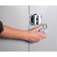 Deep Door Storage Cabinet, 38" W x 24" D x 72" H, 4 Shelves Nia-Chem Ltd.