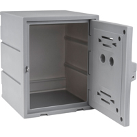 Locker, 15" x 15" x 18", Grey, Assembled FC689 | Nia-Chem Ltd.