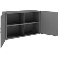 Wall-Mountable Cabinet, 24" H x 33-13/16" W x 12-3/8" D, 1 Shelves, Steel, Grey Nia-Chem Ltd.