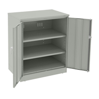 Deluxe Counter High Cabinet, Steel, 2 Shelves, 42" H x 36" W x 24" D, Light Grey FL644 | Nia-Chem Ltd.