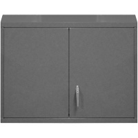 Wall-Mounted Cabinet, 27" H x 29-7/8" W x 13-11/16" D, 2 Shelves, Steel, Grey Nia-Chem Ltd.