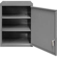 Wall-Mounted Cabinet, 27" H x 13-11/16" W x 18" D, 2 Shelves, Steel, Grey Nia-Chem Ltd.