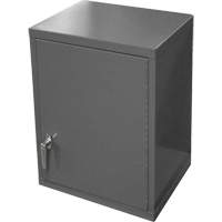 Wall-Mounted Cabinet, 27" H x 13-11/16" W x 18" D, 2 Shelves, Steel, Grey Nia-Chem Ltd.