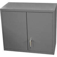 Wall-Mounted Cabinet, 27" H x 13-11/16" W x 35-7/8" D, 2 Shelves, Steel, Grey Nia-Chem Ltd.