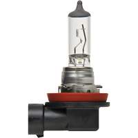 H8 Basic Headlight Bulb, Halogen, 35 W, Off White Nia-Chem Ltd.