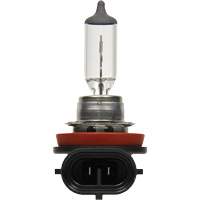 H8 Basic Headlight Bulb FLT984 | Nia-Chem Ltd.
