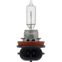 H89 Basic Headlight Bulb FLT985 | Nia-Chem Ltd.