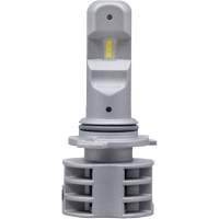 9006 Headlight Bulb FLT993 | Nia-Chem Ltd.