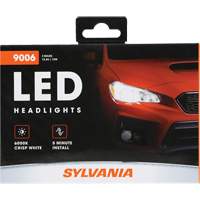 9006 Headlight Bulb, LED, 13.2 W/17 W, White Nia-Chem Ltd.