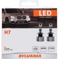 H7 Headlight Bulb FLT995 | Nia-Chem Ltd.