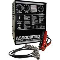 Multi-Battery Series Charger Nia-Chem Ltd.