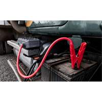 Survolteur pour batterie GB251+ Boost Max Nia-Chem Ltd.