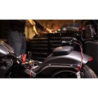 Genius&reg; 10 10-Amp Battery Charger Nia-Chem Ltd.